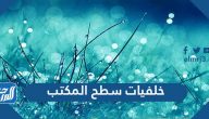 خلفيات سطح المكتب hd عالية الجودة 4k