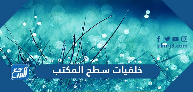 خلفيات سطح المكتب