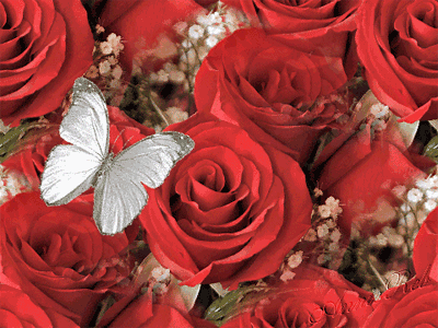 خلفيات كمبيوتر متحركة لويندوز 7