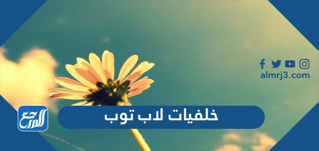 خلفيات لاب توب