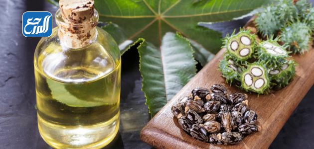 أفضل زيت لتطويل الشعر في أسبوع