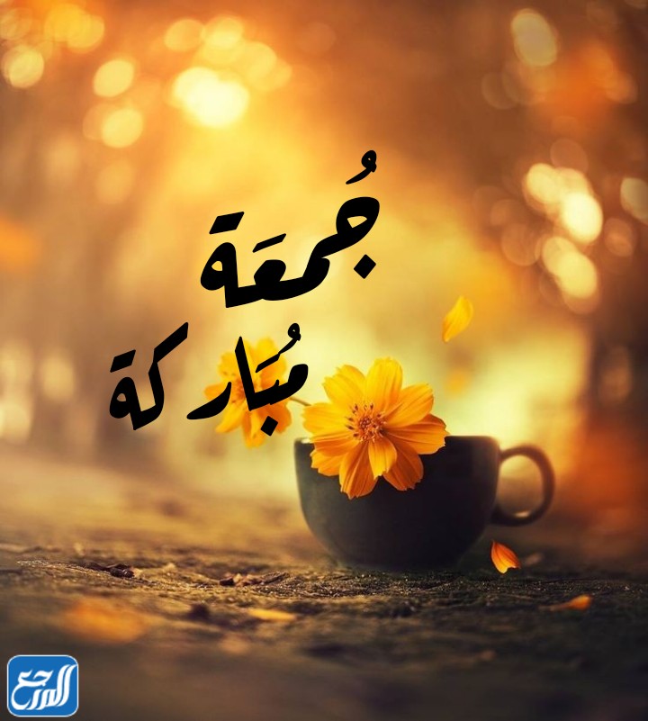 اذا احد قال جمعه مباركة وش ارد