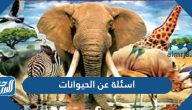 اسئلة عن الحيوانات سهلة وصعبة للمسابقات واجوبتها 2025