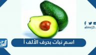اسم نبات بحرف الألف أ