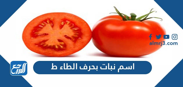 اسم نبات بحرف الطاء ط