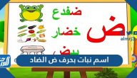 اسم نبات بحرف ض الضاد