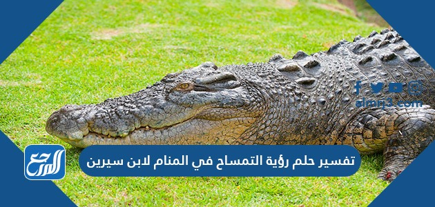 تفسير حلم رؤية التمساح في المنام لابن سيرين