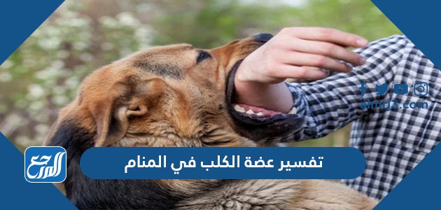 تفسير عضة الكلب في المنام