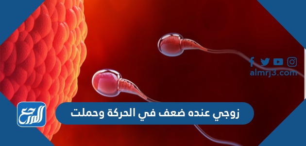 زوجي عنده ضعف في الحركة وحملت