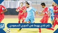 كم نادي يهبط في الدوري السعودي