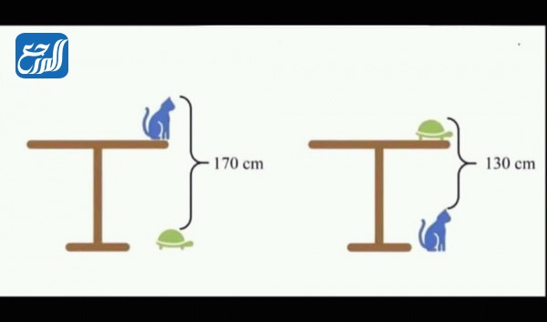 سؤال للاذكياء