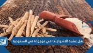 هل عشبة الاشواجندا موجودة في السعودية