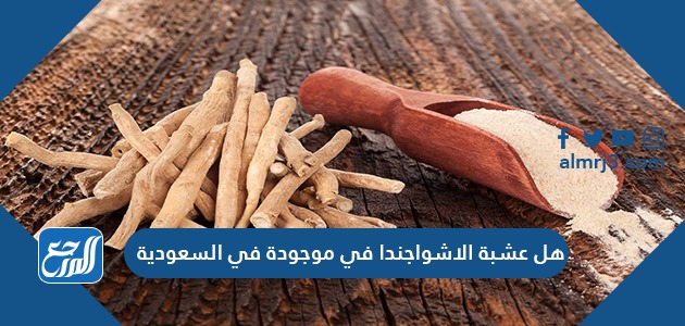 هل عشبة الاشواجندا موجودة في السعودية