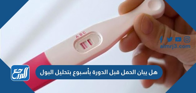 هل يبان الحمل قبل الدورة بأسبوع بتحليل البول