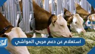 استعلام عن دعم مربي المواشي 1444 وشروط الحصول على الدعم