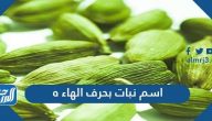 اسم نبات بحرف الهاء ه