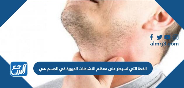 الغدة التي تسيطر على معظم النشاطات الحيوية في الجسم هي