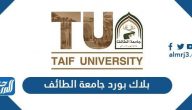 رابط بلاك بورد جامعة الطائف تسجيل الدخول blackboard taif