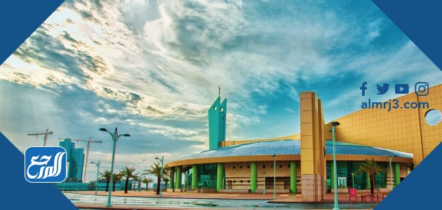 تخصصات جامعة تبوك 