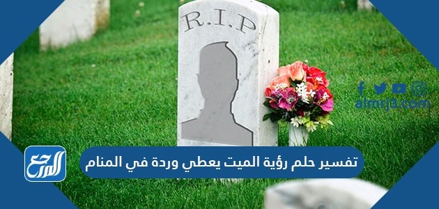 تفسير حلم رؤية الميت يعطي وردة في المنام