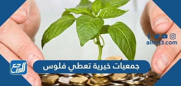 خيرية المالية جمعيات بجدة للمساعدات جمعيات خيرية