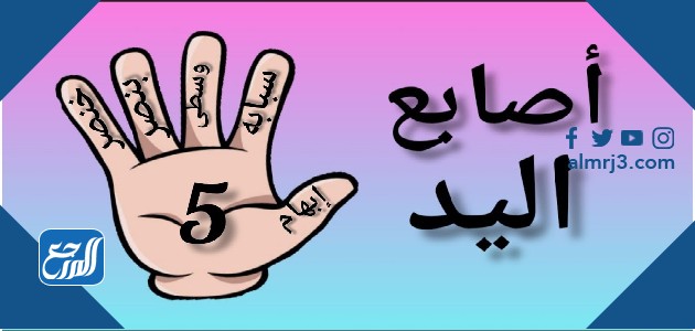 صور اسماء اصابع اليد