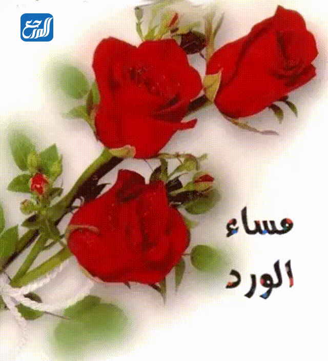 صور مساء الخير متحركه