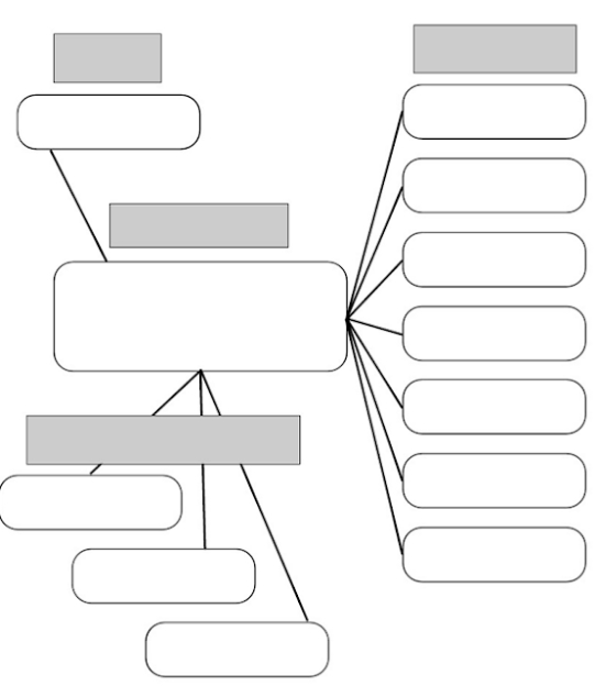 صور نموذج خريطة مفاهيم فارغة الخرائط الذهنية