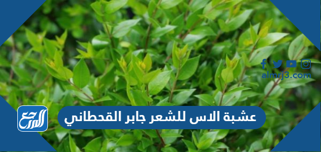 عشبة الاس للشعر جابر القحطاني