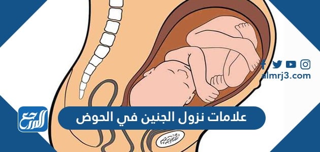علامات تدل على نزول رأس الجنين في الحوض