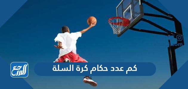 كم عدد حكام كرة السلة