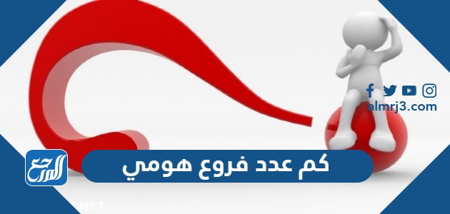 كم عدد فروع هومي