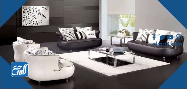 كم عدد فروع هومي