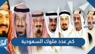 كم عدد ملوك السعودية