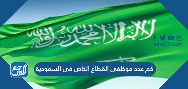 كم عدد موظفي القطاع الخاص في السعودية