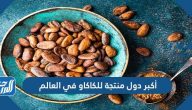 ما هي أكبر 10 دول منتجة للكاكاو في العالم