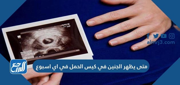 متى يظهر الجنين في كيس الحمل في اي اسبوع