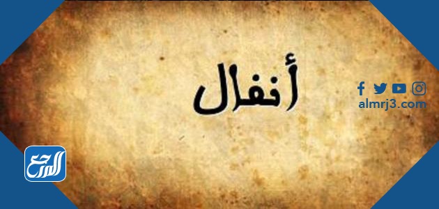 معنى اسم انفال