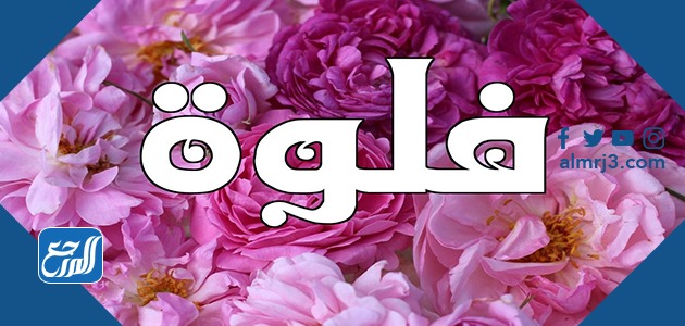صور اسم فلوه