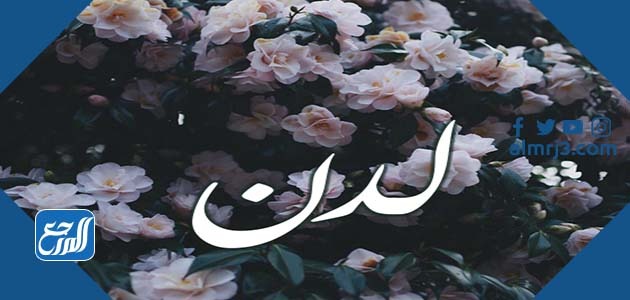 معنى اسم لدن