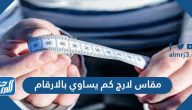 مقاس لارج كم يساوي بالارقام