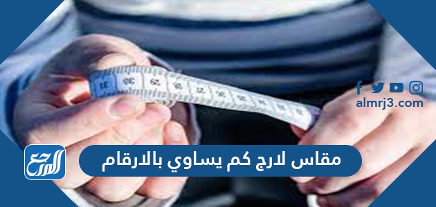 مقاس لارج كم يساوي بالارقام