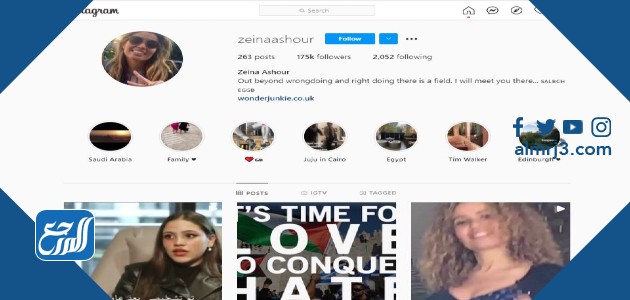 من هي زوجة عمرو دياب السعودية