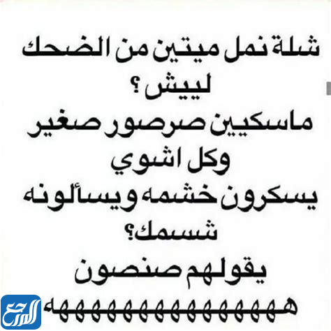 نكتة تضحك نملة