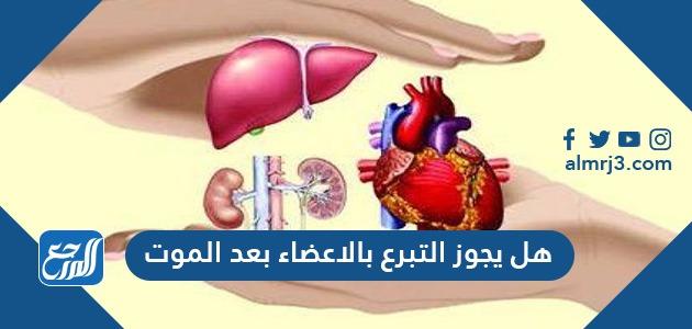 هل يجوز التبرع بالاعضاء بعد الموت