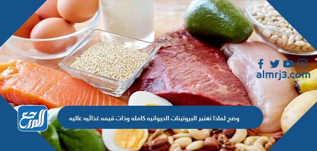 وضح لماذا تعتبر البروتينات الحيوانيه كامله وذات قيمه غذائيه عاليه