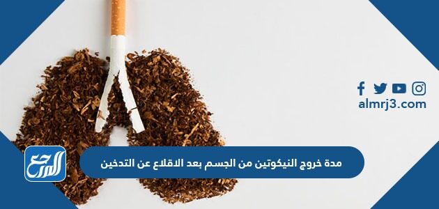 بحث عن التدخين مع المراجع