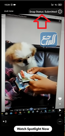 حالة منصة الأضواء تم التقديم