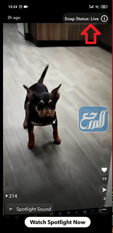 حالة منصة الأضواء تم التقديم