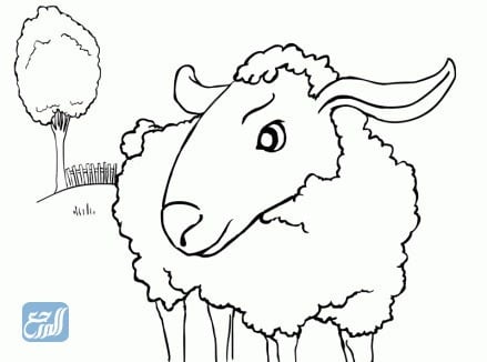 رسومات خروف العيد للتلوين